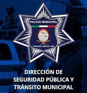 PLAN MUNICIPAL DE SEGURIDAD PÚBLICA